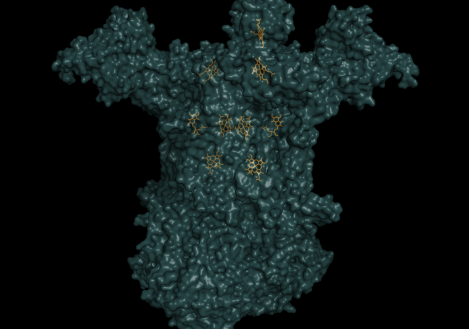 Cytochrome bc Complex and its various Electon Carrying Prosthetic Groups